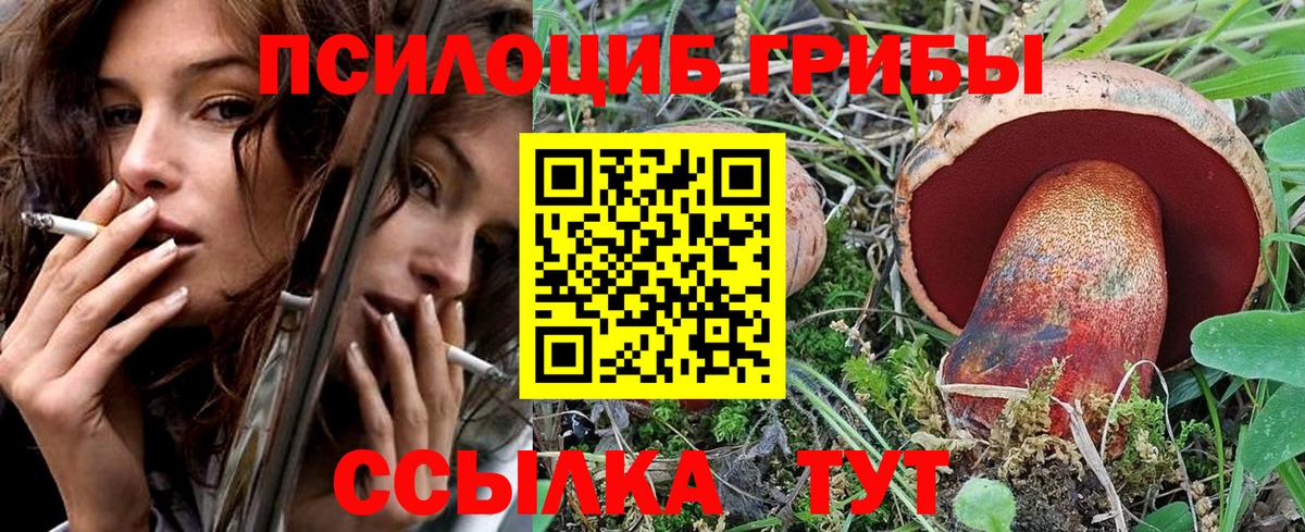 Галлюциногенные грибы мицелий Сланцы