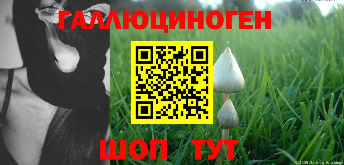 Псилоцибиновые грибы ЛСД  купить  сайты  Сланцы  Вход с VPN 